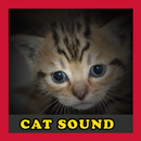 Meow Cat Sounds aplikacja