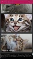 Meow Cat Sounds captura de pantalla 3