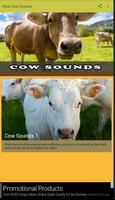 Real Cow Sounds screenshot 2