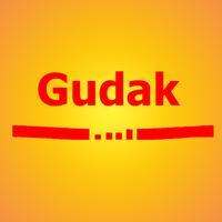 cam gudak pro guide पोस्टर