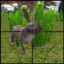 Rabbit Hunter 2016 APK