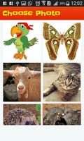 Animals Puzzle jigsaw for Kids Affiche