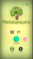 Metasequire Affiche