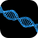 APK Copy DNA