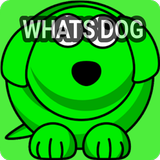 Whatsdog Last Seen icône