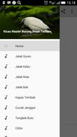 Poster Kicau Master Burung Besar Terbaru