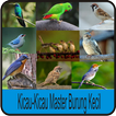 Kicau-Kicau Master Burung Kecil Terbaru