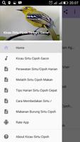 Kicau Sirtu Cipoh Terbaru Gacor poster