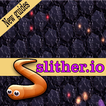 Guide Slither io