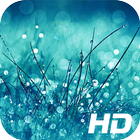 Glitter Wallpaper HD 아이콘