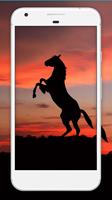 Horse Wallpaper HD captura de pantalla 2