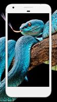 1 Schermata Snake Wallpaper HD