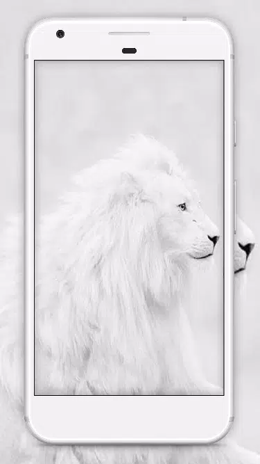 White Lion Wallpaper HD APK for Android Download White Lion Wallpaper HD APK for Android Download