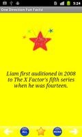 Poster One Direction Fun Facts!