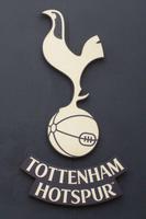 Tottenham Hotspur Wallpaper screenshot 2