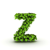 Z Browser APK