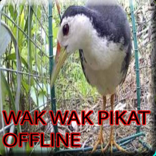 Pikat wak wak