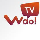 Wao TV icône