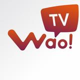 Wao TV 아이콘