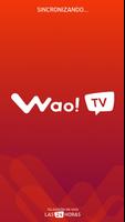 Wao TV 海报