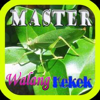 Master Walang Kekek Offline পোস্টার