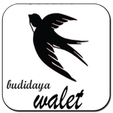 Suara Pemikat Burung Walet icono
