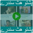 9000+ Pashto Hits Songs Tappy