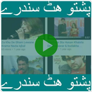 9000+ Pashto Hits Songs Tappy APK