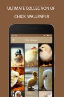 Chick Wallpaper پوسٹر