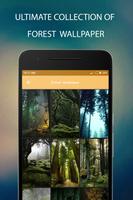 Forest Wallpaper Affiche