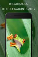 Frog Wallpaper screenshot 3