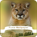 Puma Wallpaper APK