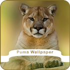 Puma Wallpaper 图标