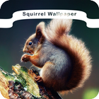 Squirrel Wallpaper أيقونة