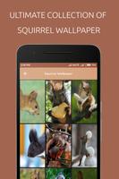 Squirrel Wallpaper پوسٹر