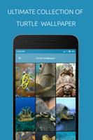 Turtle Wallpaper постер