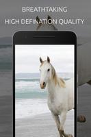 White Horse Wallpaper скриншот 3