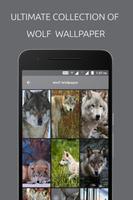 Wolf Wallpaper Plakat