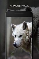 Wolf Wallpaper ảnh chụp màn hình 1
