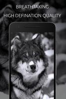 Wolf Wallpaper ภาพหน้าจอ 3