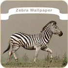 Zebra Wallpaper icono