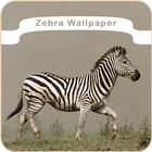 Zebra Wallpaper icône