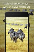 برنامه‌نما Zebra Wallpaper عکس از صفحه