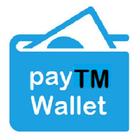 Money wallet(payTM) icône