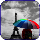 Color Splash Photography icon