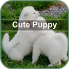 Cute Puppy Wallpaper आइकन