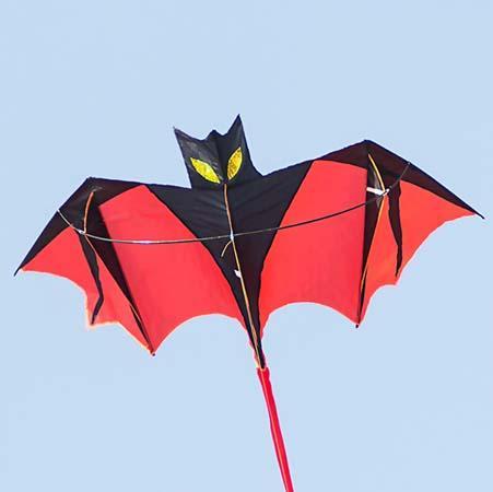 How To Make A Box Kite Boys Life Magazine