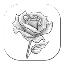 How To Draw Flowers APK