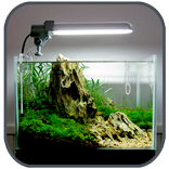 ”Aquascape Aquarium Design