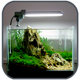 Aquascape Aquarium Design icon